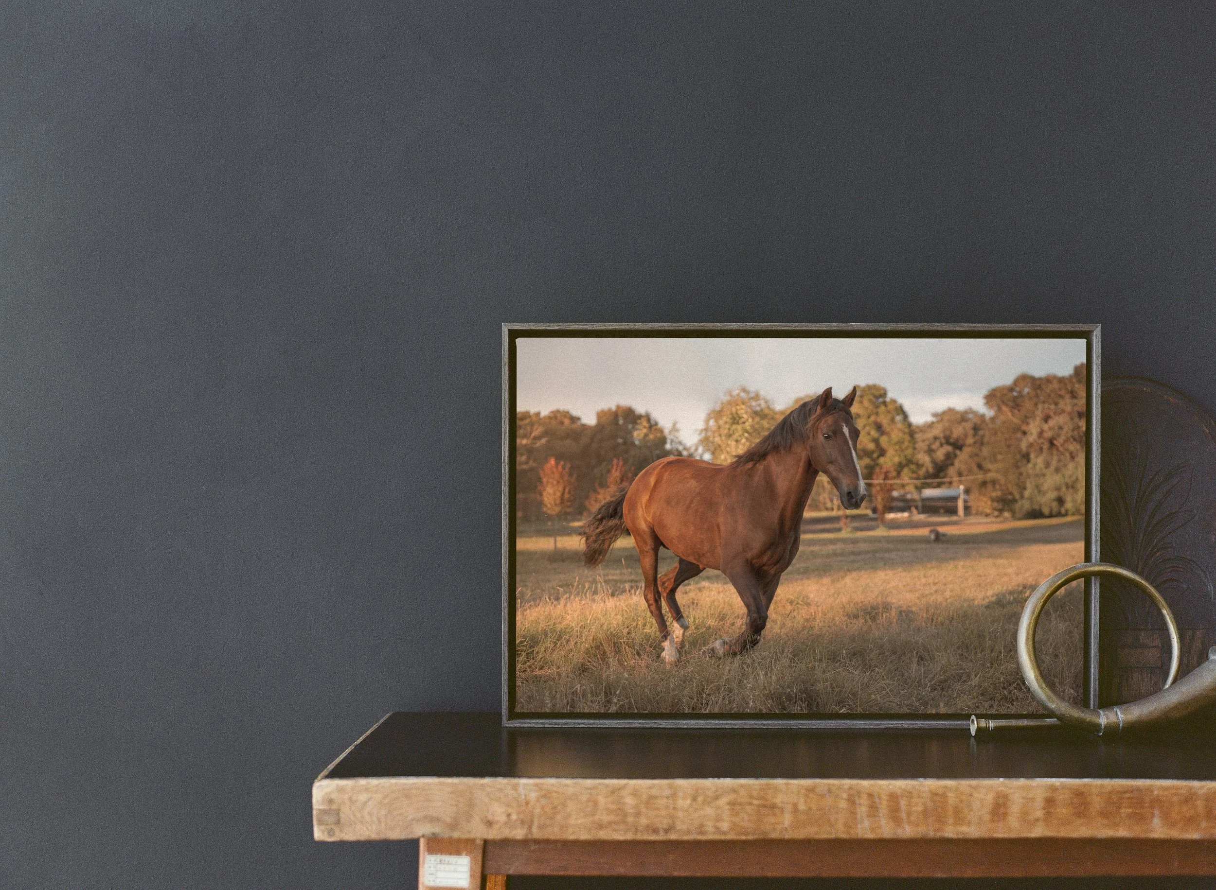 A Framed Canvas by Chelsea Lou Photography