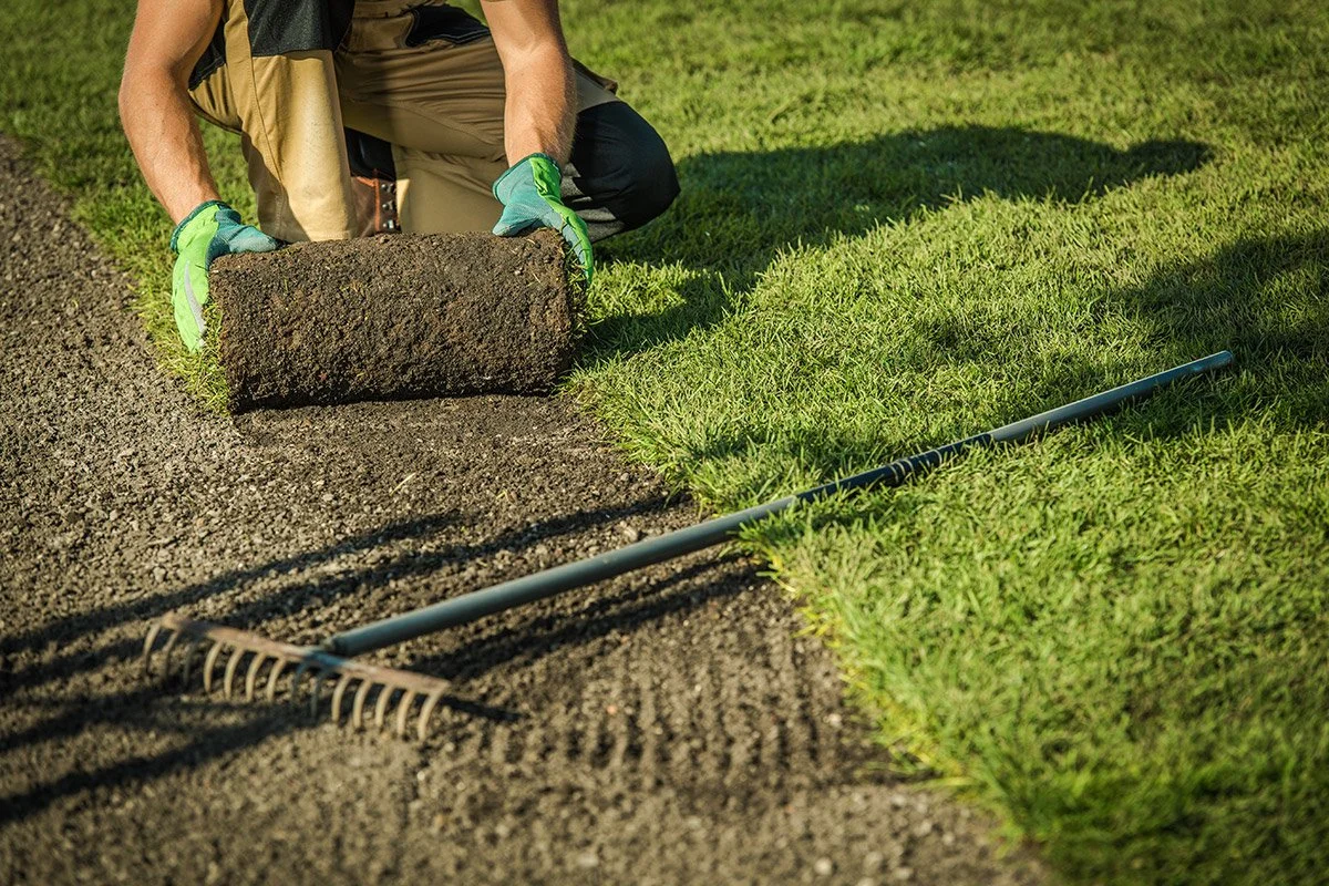 What’s new in the landscaping industry?