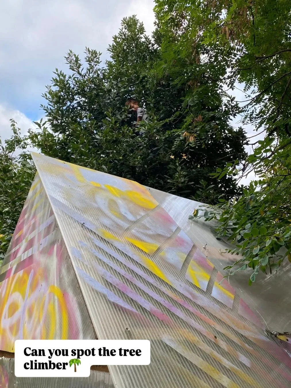 Top hiding spot 👏🌴🤣