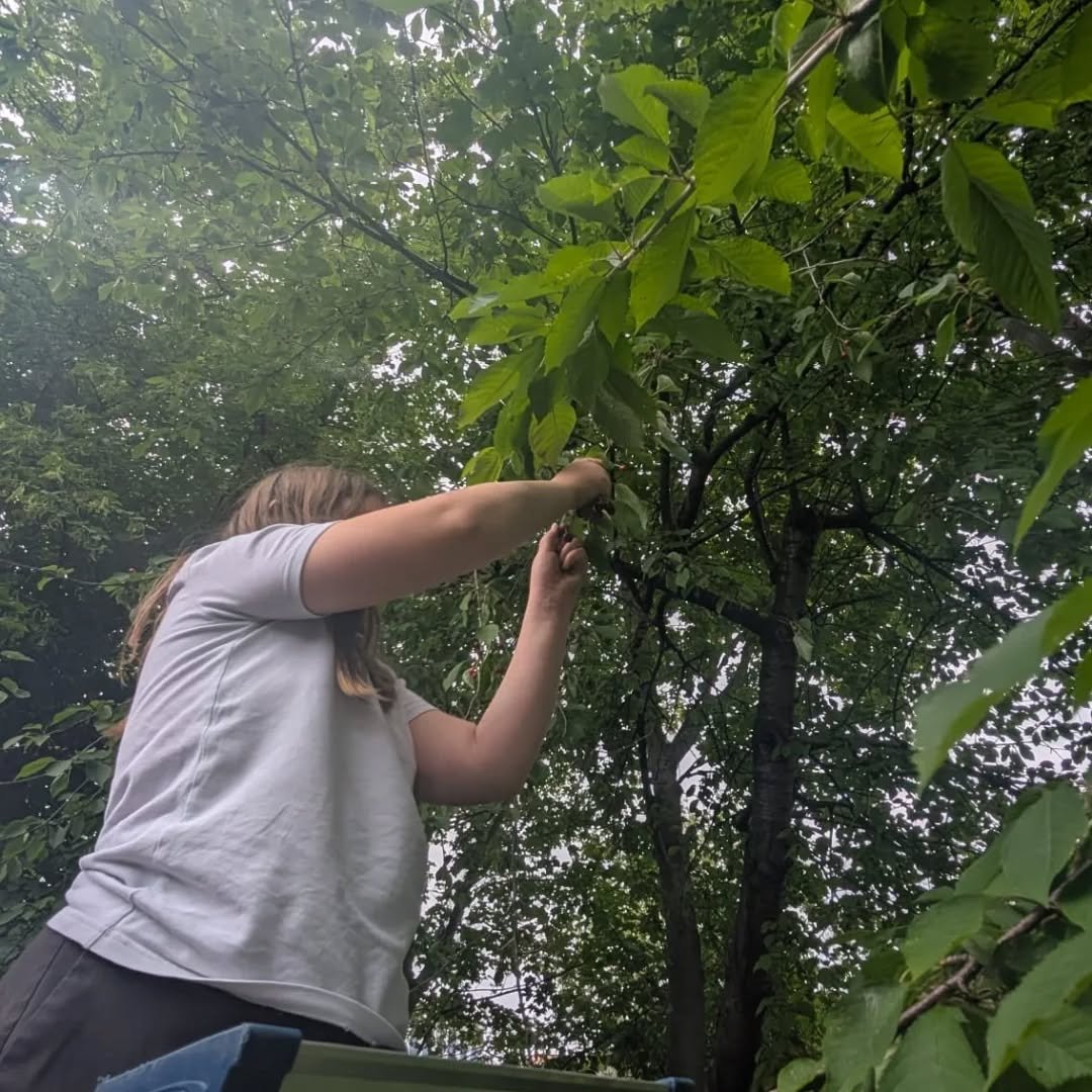Crochet and harvesting cherries! 🍒🧶A combo of activities only found at Triangle! 

#adventureplayground #charity #youth #london
