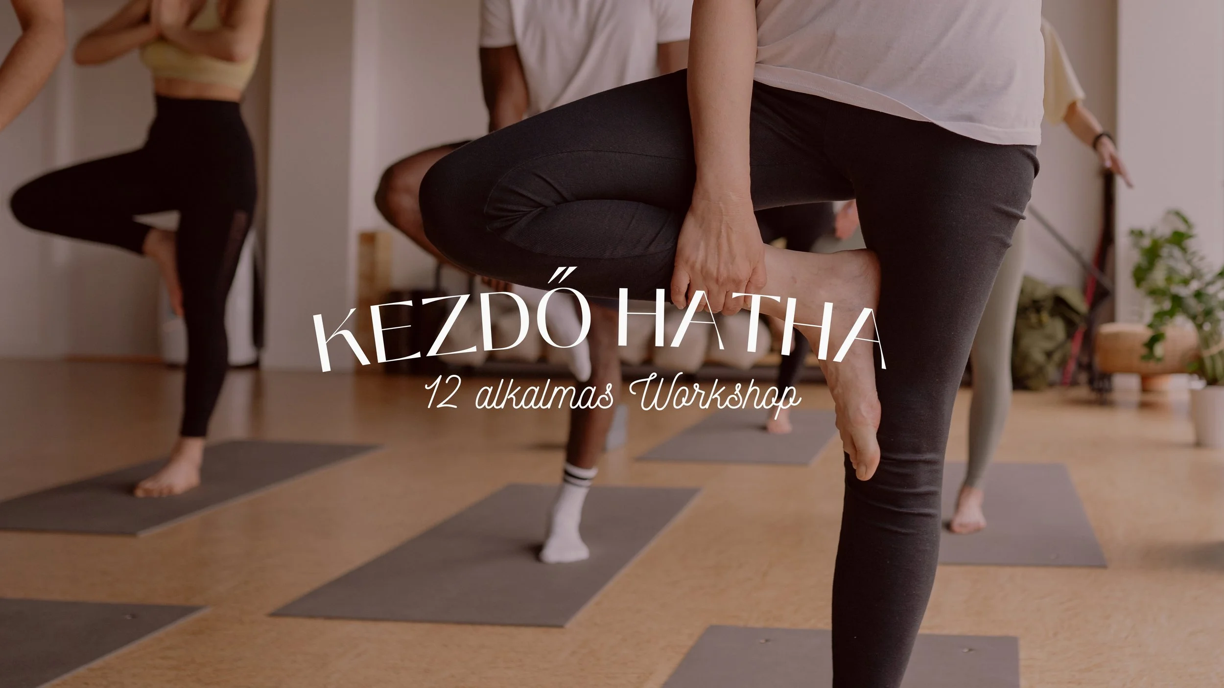 12 alkalmas Kezdő Hatha Workshop