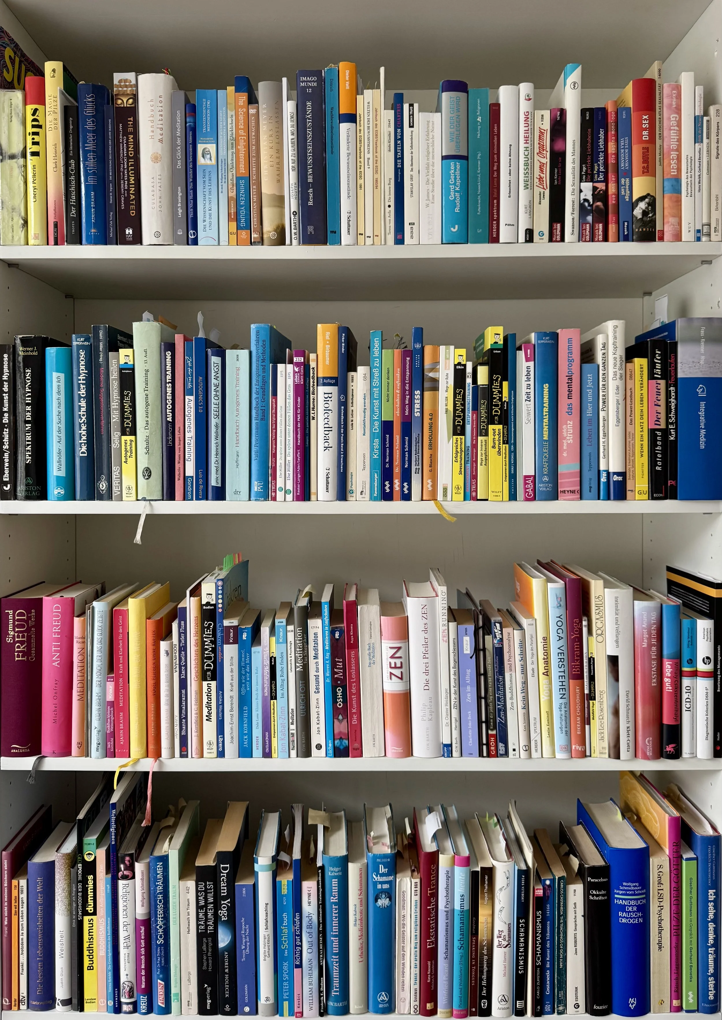 Bücherregal mit mehreren Regalen voller Bücher verschiedener Themen auf Deutsch an einem weißen Regal