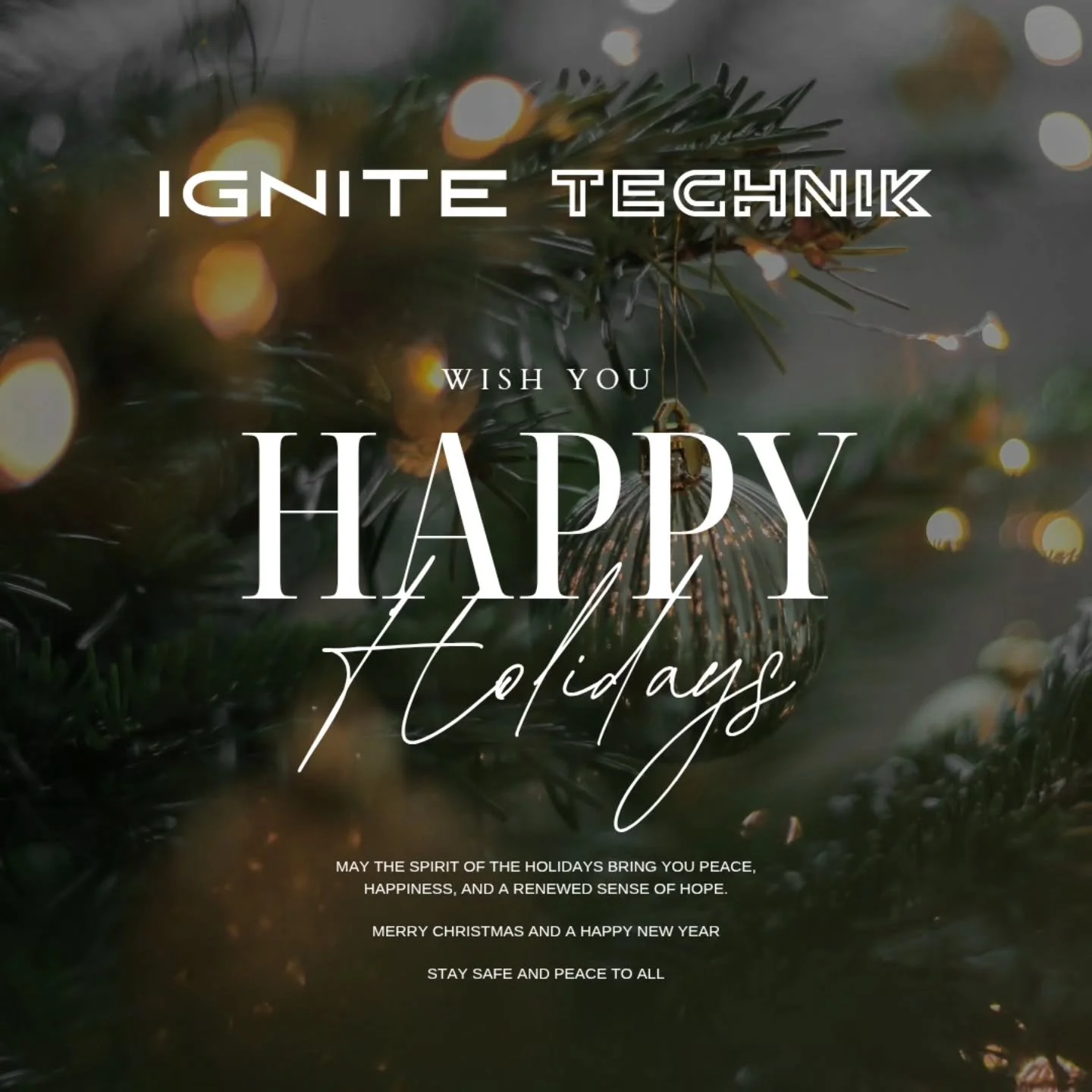 Thank you to all our loyal customers and fans. Thank you to our amazing team of experts that got our workshop up and running in such a short time. It's been a whirlwind of activity to get things settled. 

We have had amazing support from Family and 