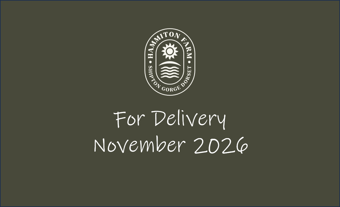 Hammiton-Delivery_Nov26.png