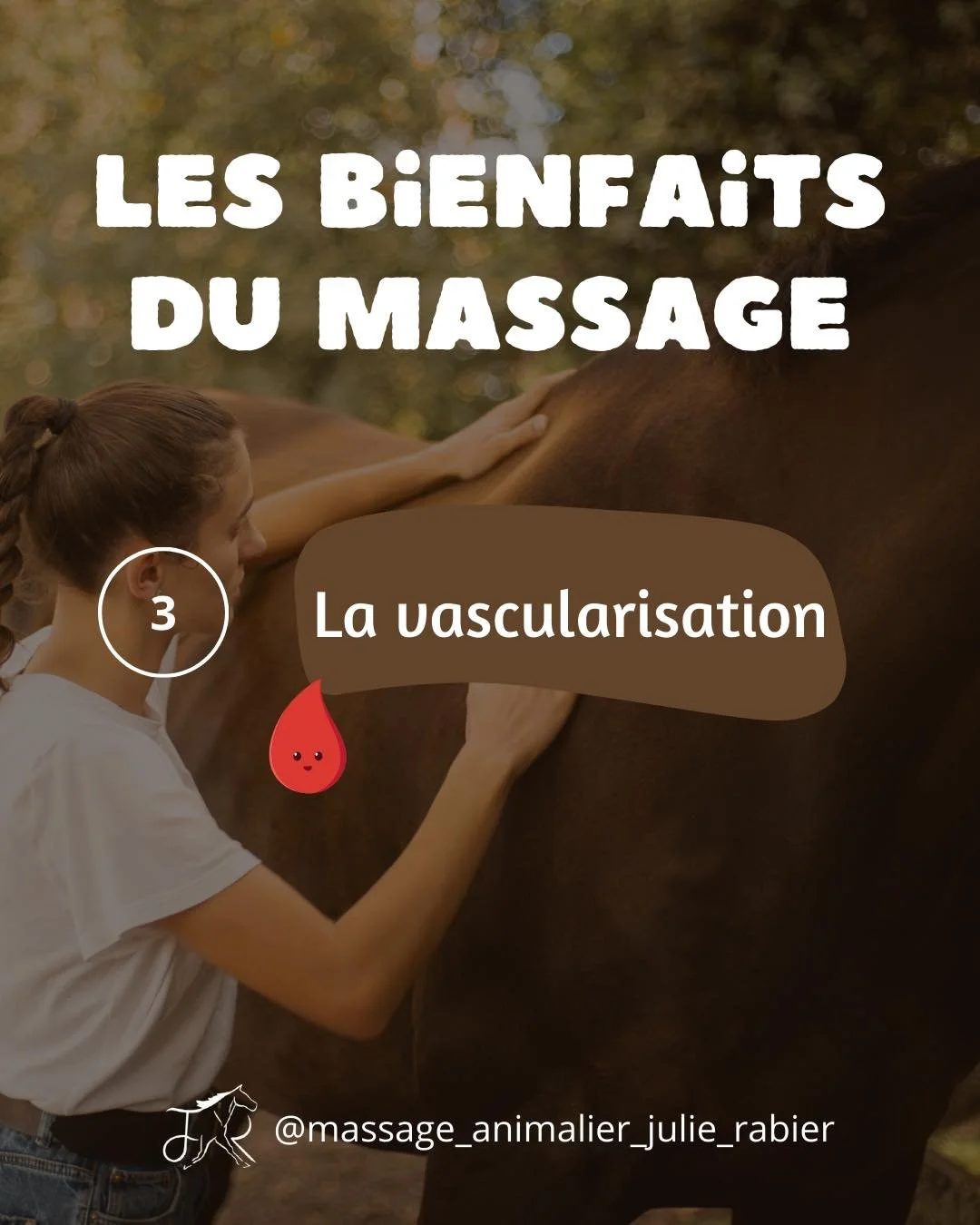 Pour ce troisi&egrave;me jour consacr&eacute; aux bienfaits du massage, nous allons parler vascularisation 🩸

Qu&rsquo;est-ce que c&rsquo;est ? 🤔

La vascularisation c&rsquo;est l&rsquo;ensemble du r&eacute;seau de vaisseaux sanguins qui irriguent 