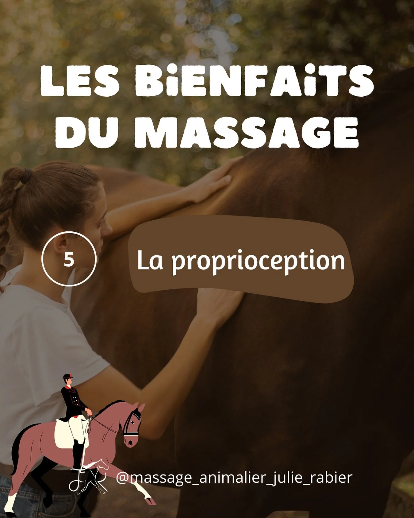 Pour ce cinqui&egrave;me jour, je voulais parler de proprioception.

Cela vous est peut-&ecirc;tre d&eacute;j&agrave; arriv&eacute; d&rsquo;avoir l&rsquo;impression qu&rsquo;un cheval ne semble pas savoir o&ugrave; il met ses pieds. Si aucune cause m