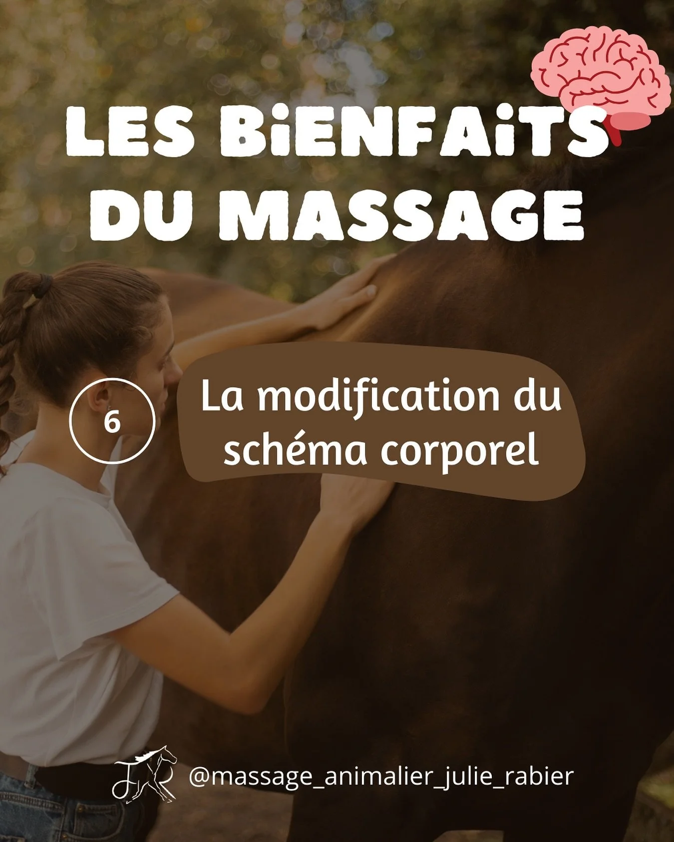 Pour cet avant dernier jour, nous allons parler d&rsquo;un des bienfaits les plus importants de massage.

Il s&rsquo;agit de la modification du sch&eacute;ma corporel 🤸&zwj;♀️

➡️ Le sch&eacute;ma corporel, c&rsquo;est comment votre animal se per&cc