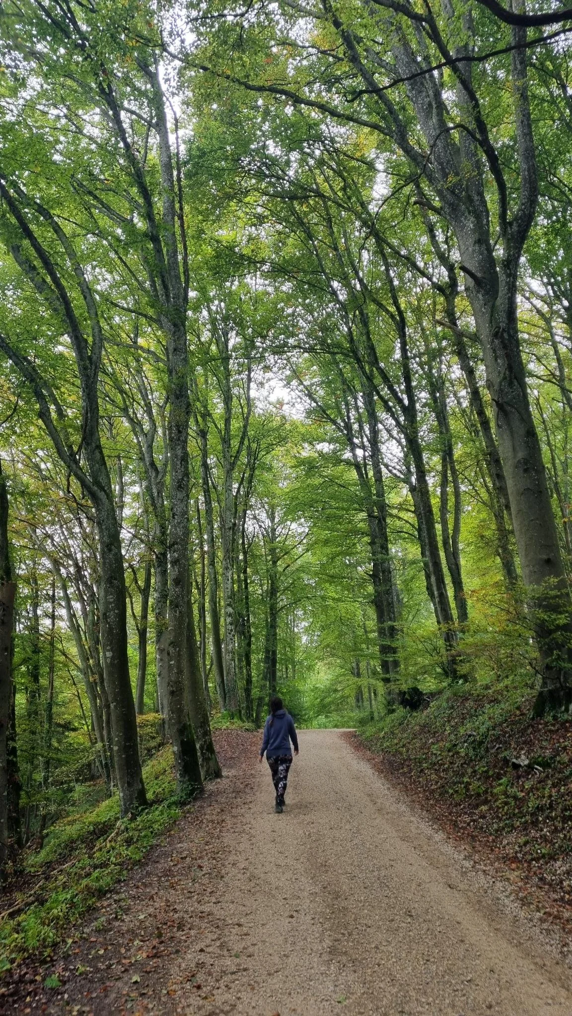 Selbstregulation Serie Teil 3: Bewegung als Startknopf