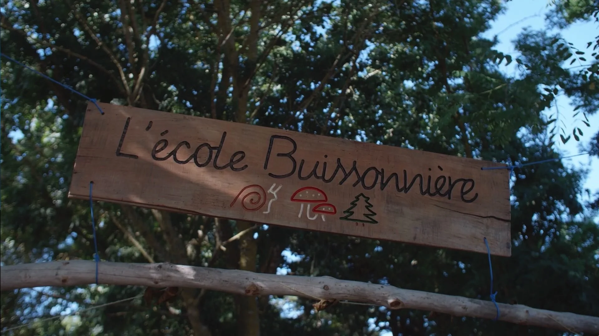 Ecole dans la forêt : une révolution verte ?