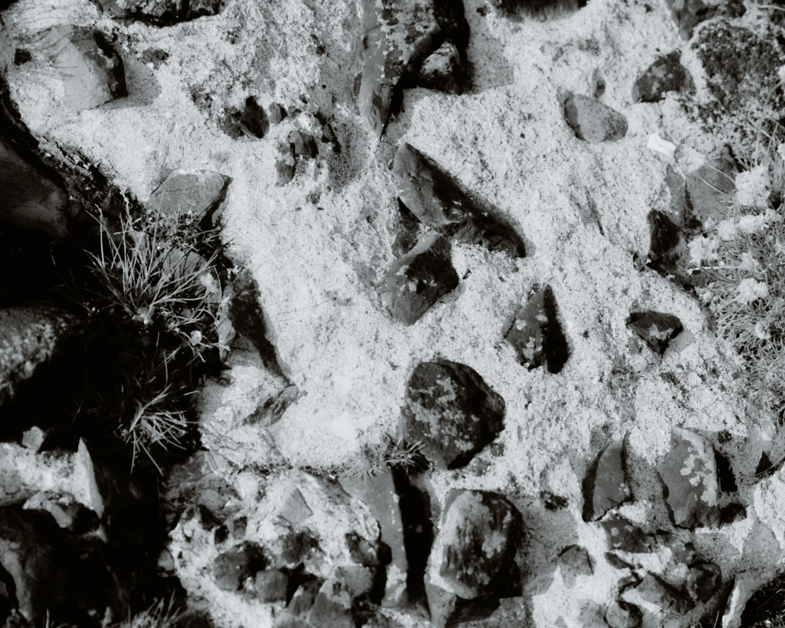 5A5A1688.jpg