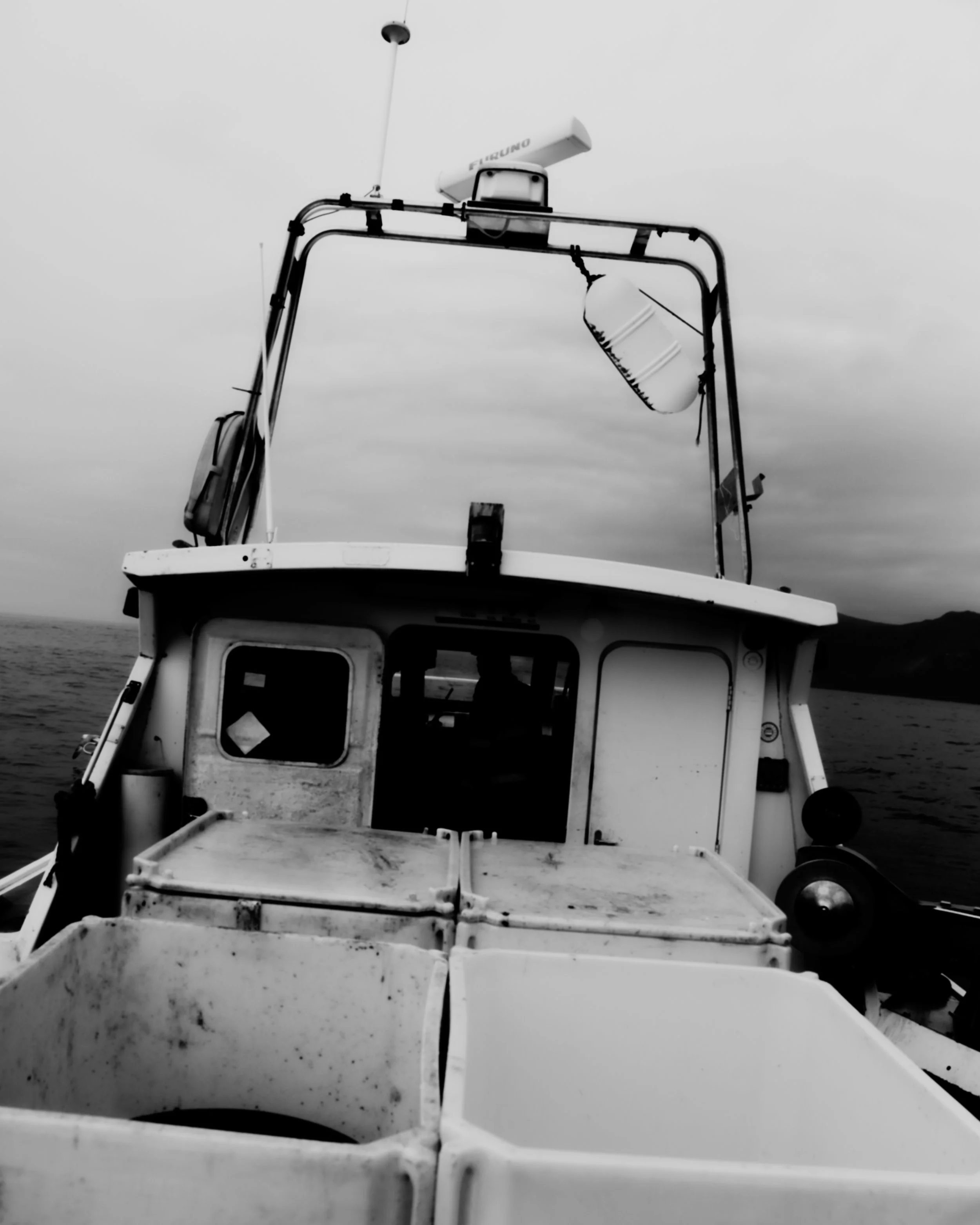 5A5A0103.jpg