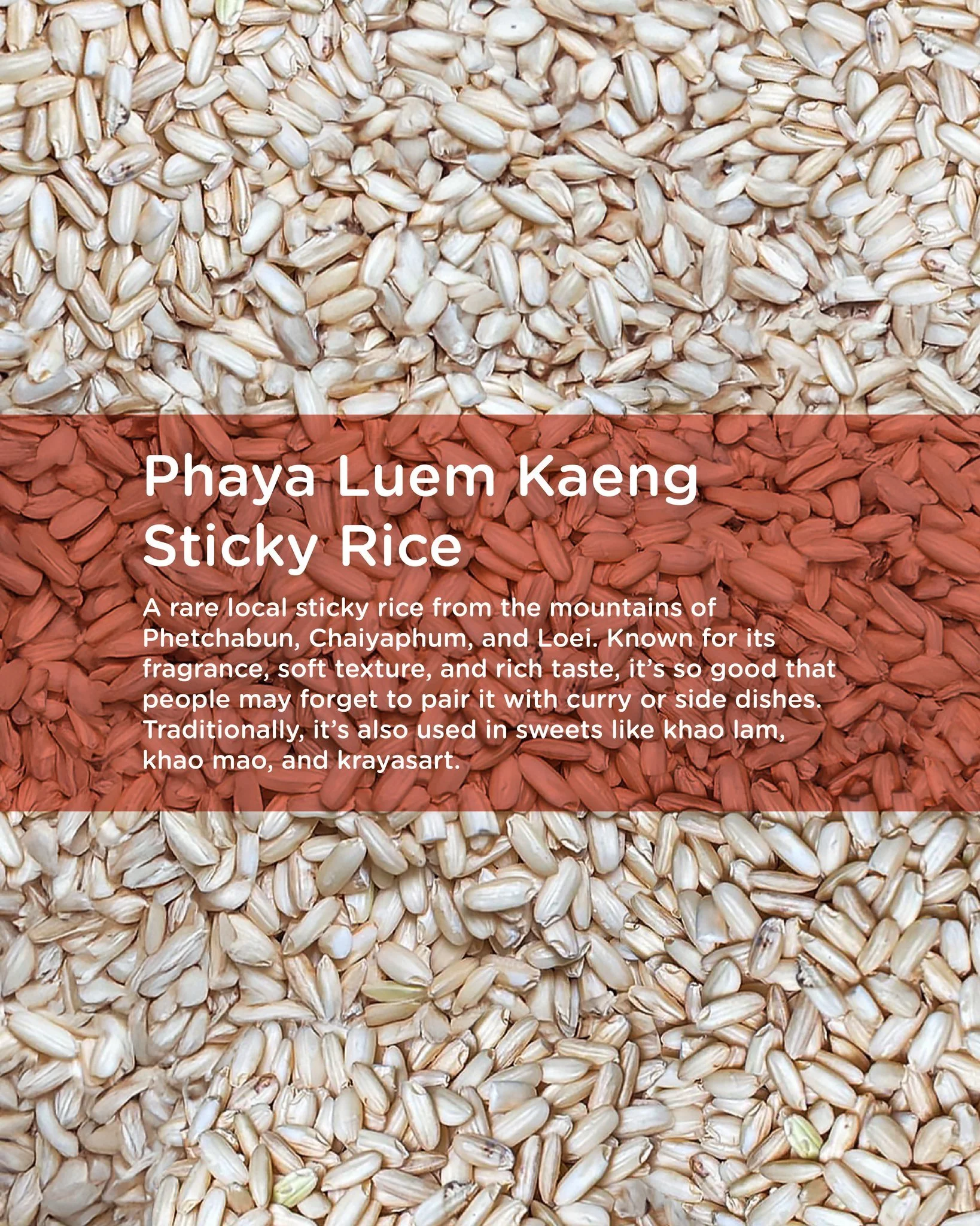 We proudly serve Phaya Luem Kaeng, a traditional Thai sticky rice renowned for its natural fragrance, soft texture, and exceptional flavor. Exclusively sourced for SOMA, this rice is so captivating that legend says a ruler once forgot his curry after
