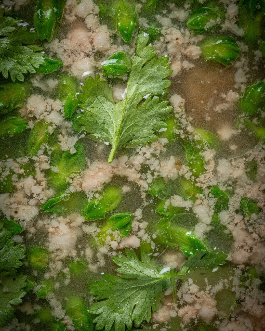 Minced pork in plum soup, cowslip flowers on top. Not delicate. Just unapologetically fresh, and SOMA.

#SOMAFlavors #PlumSoupPerfection #ThaiFlavorsUnfold