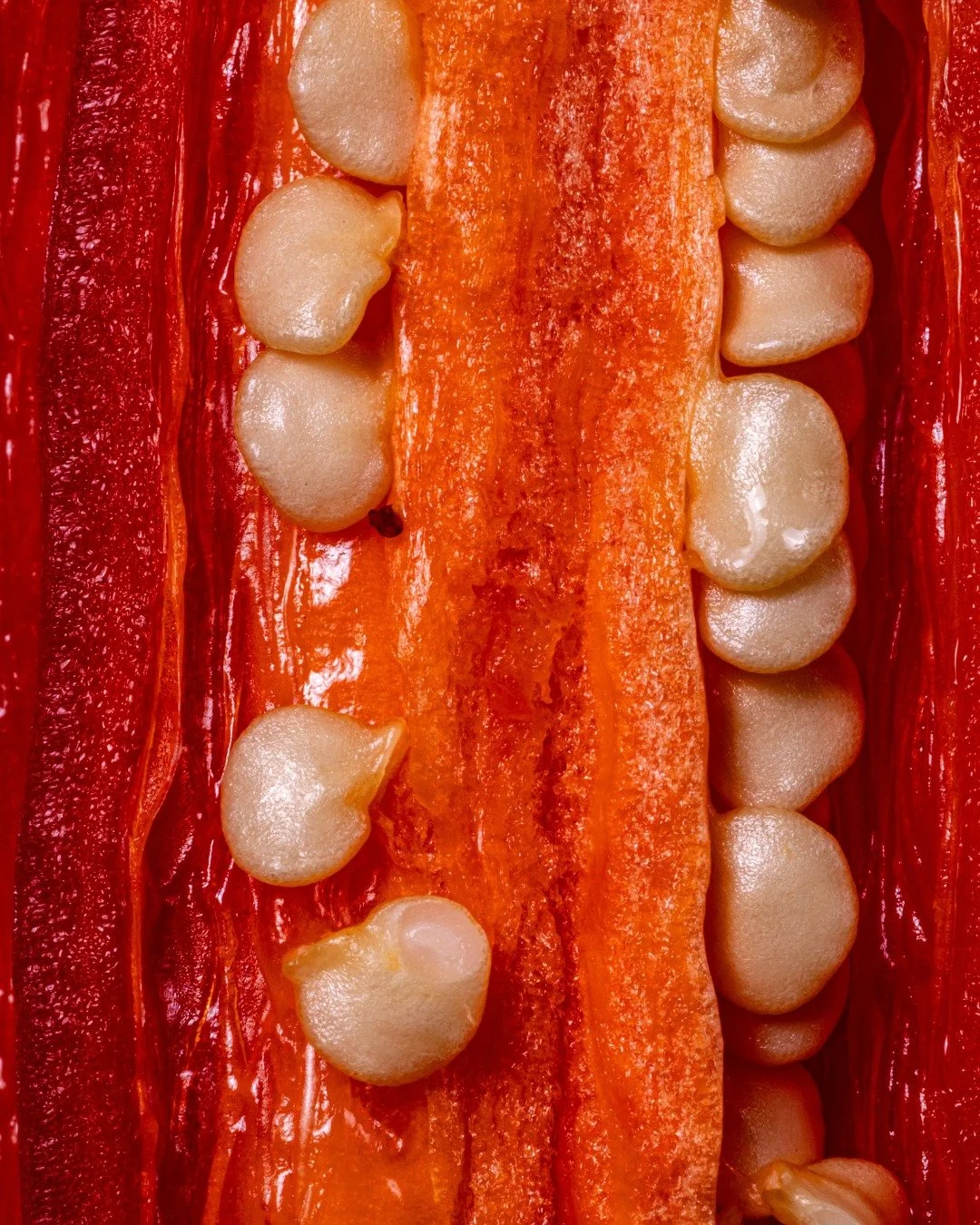 Fresh ingredients, raw flavor, true to the roots.

#SOMAFromTheSource #RootedInFreshFlavor #ModernThaiSocialKitchen