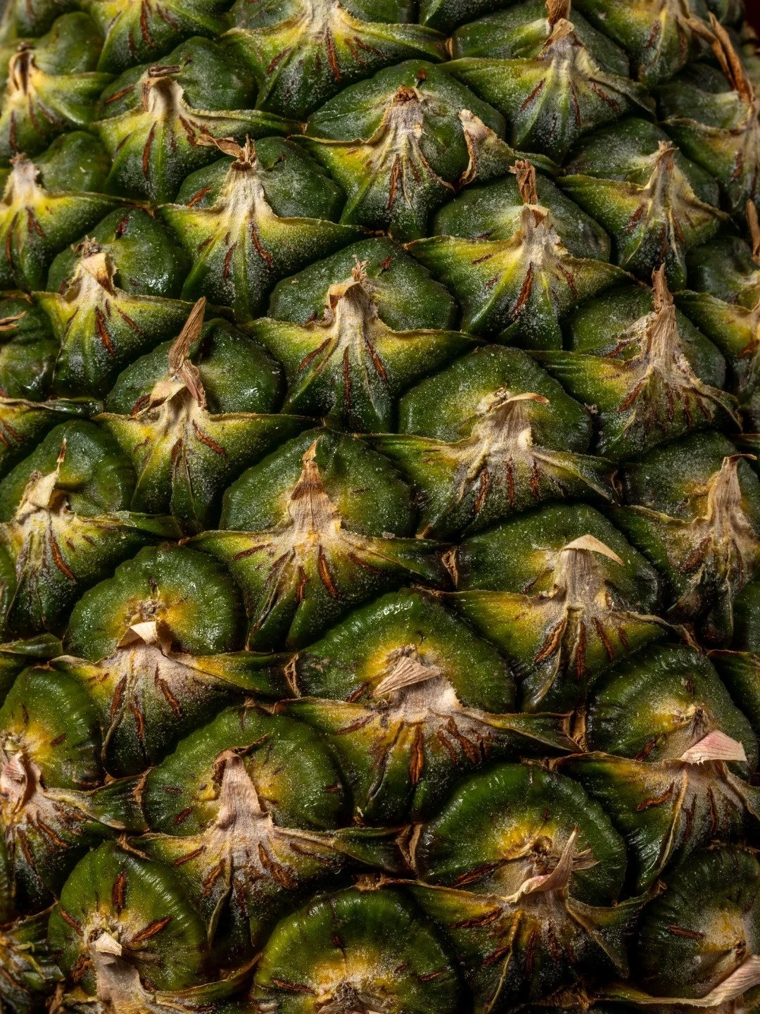 A closer look at the source before it's prepped. It's the starting point for something fresh in our kitchen.

🔗 Reservations via link in bio.
💬 LINE: somabangkok

#SOMABangkok #ThaiSocialKitchen #BeforeThePrep #IngredientTexture