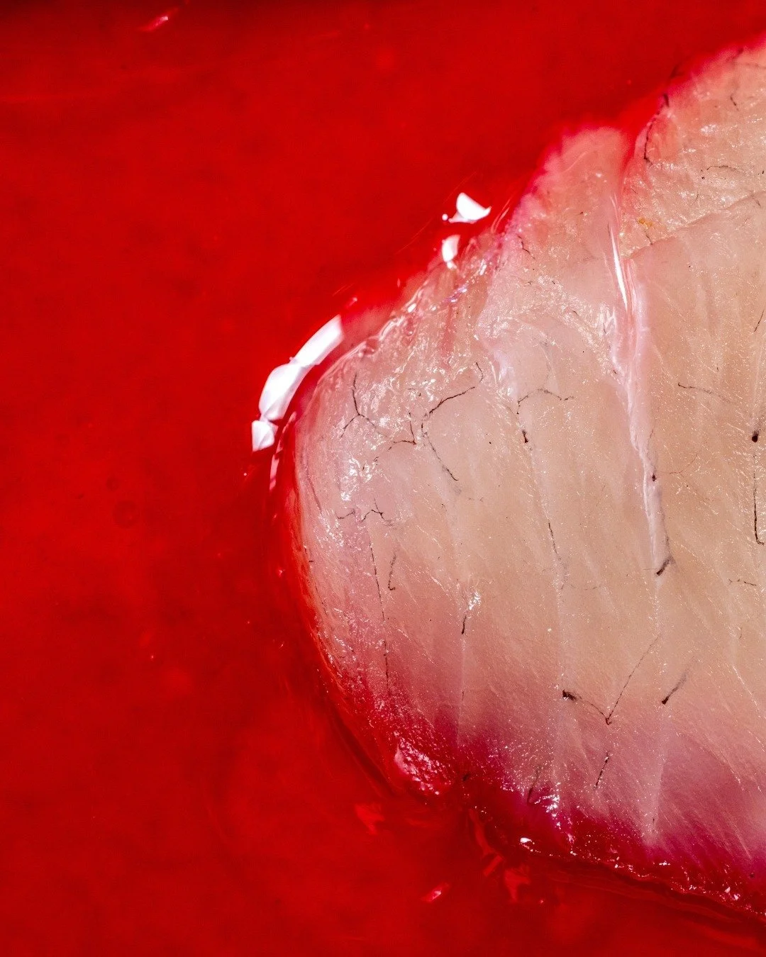 Cured Trevally. Slices of fresh fish with a sharp, vibrant naam-yum beetroot dressing.