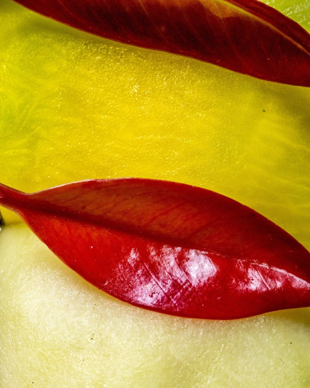 Steamed fish, served with fresh vegetables. The tomato jaew comes on the side for its spicy, tangy kick.
