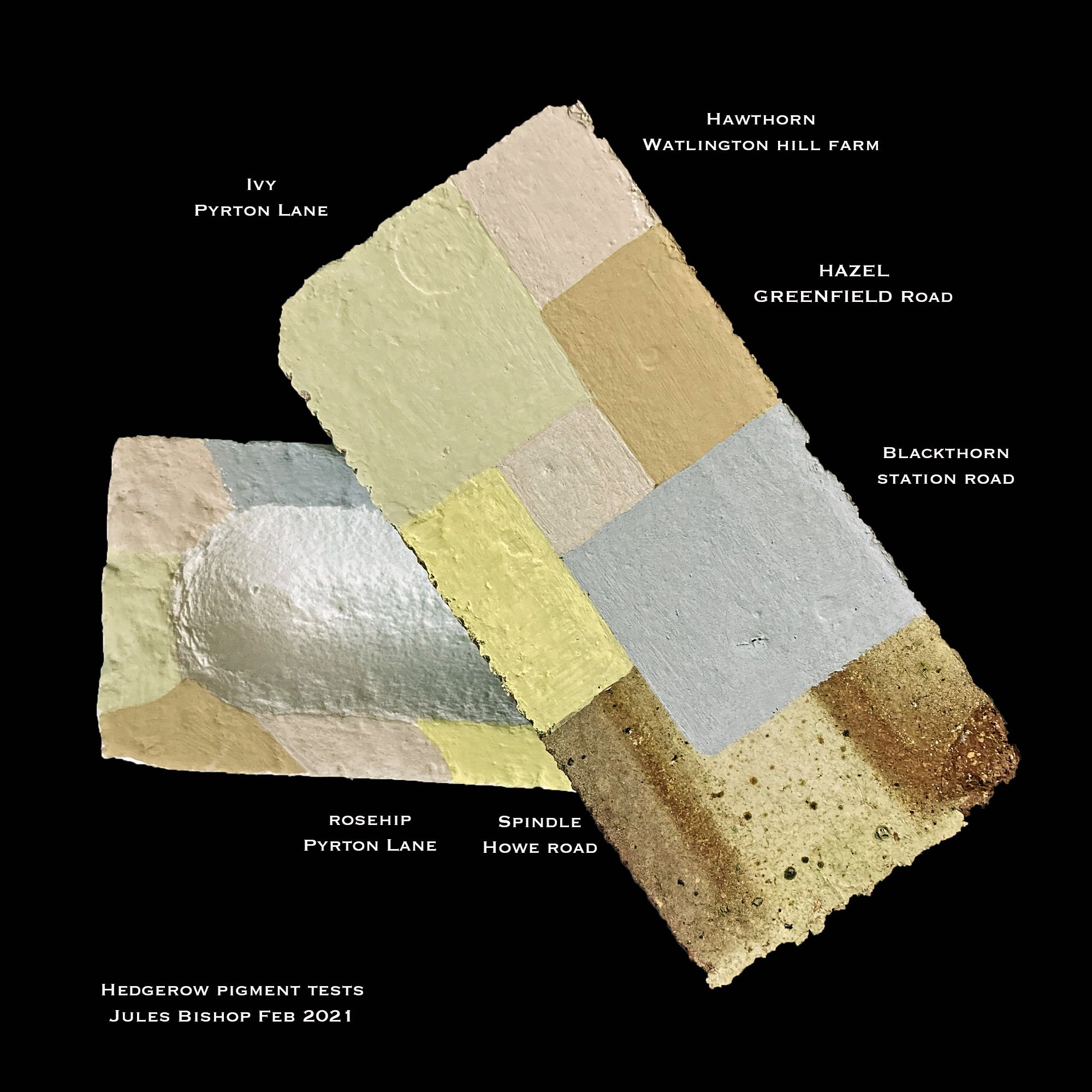 Hedgerow Pigment Tests with CO2 Absorbing Paint