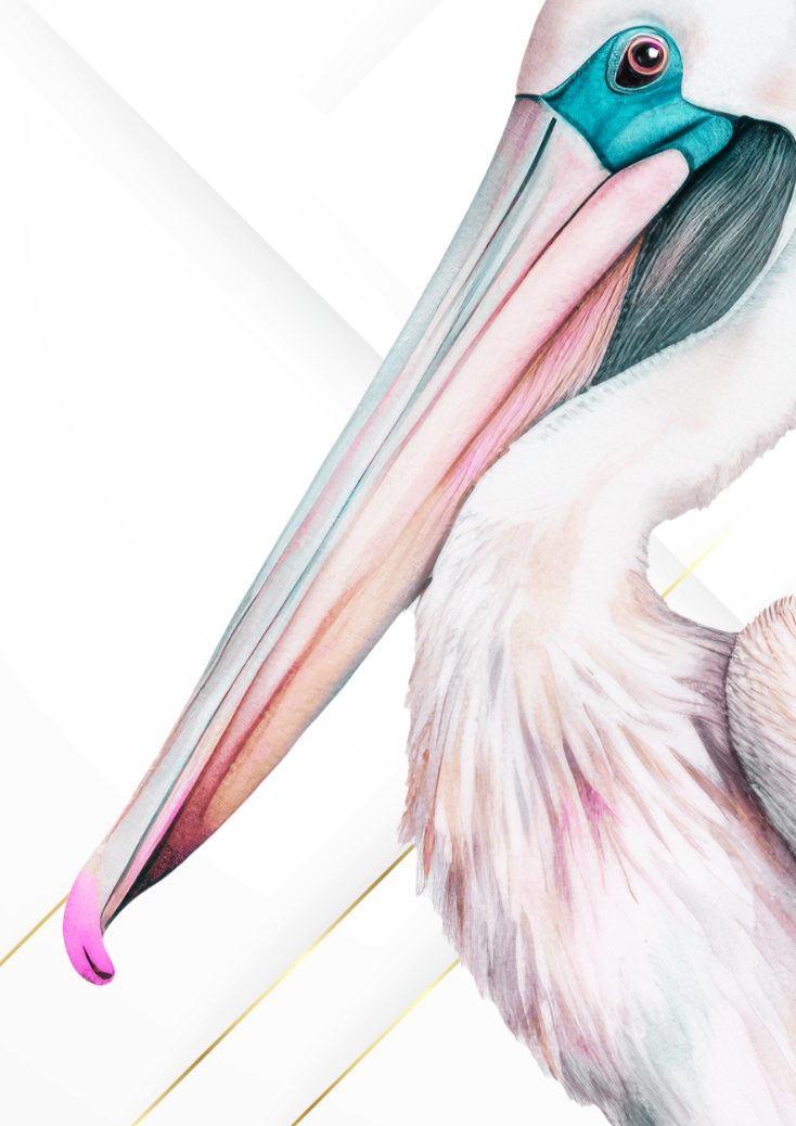 Elegant Pelican Coastal Wall Art Print - Sydney Artist, Eternal Art & Design - Eternal Art & Design