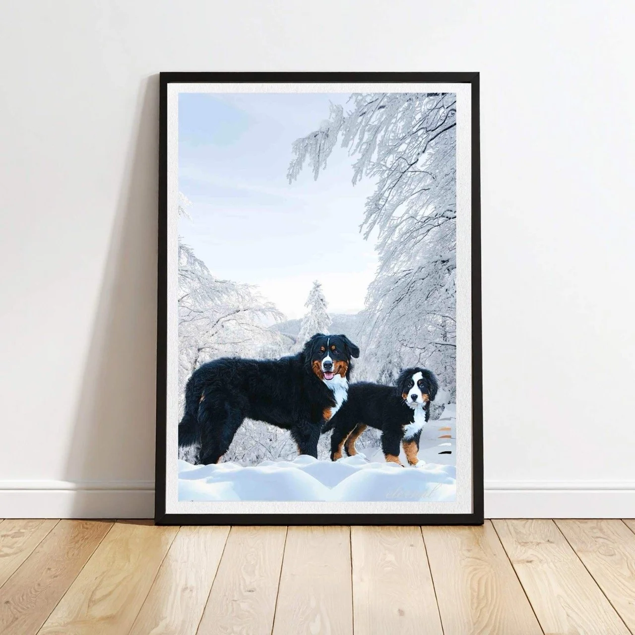 Bernese Mountain Dog Wall Art Print - Sydney Artist, Eternal Art Prints
