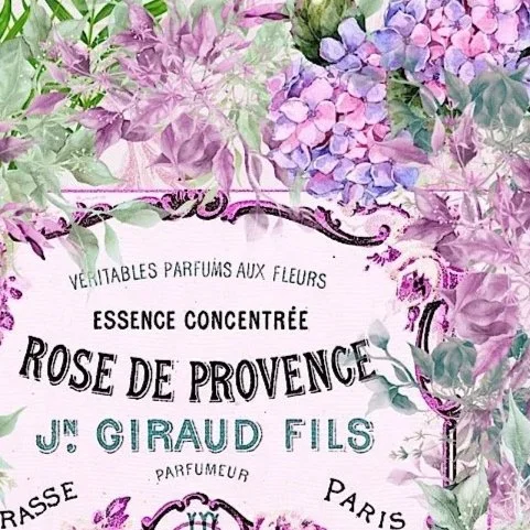 "Rose de Provence" Botanical Print - Special Edition Wall Art Eternal Art & Design - Eternal Art & Design