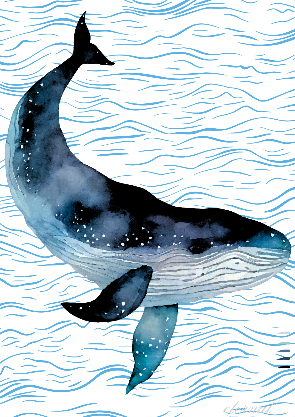 Humpback Whale Coastal Modern Wall Art Print - Sydney Artist, Eternal Art Prints