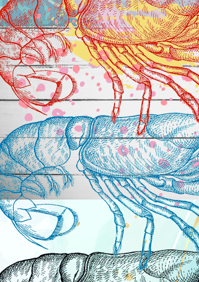 Lobster Ocean Wall Art Print - Sydney Artist, Eternal Art & Design - Eternal Art & Design