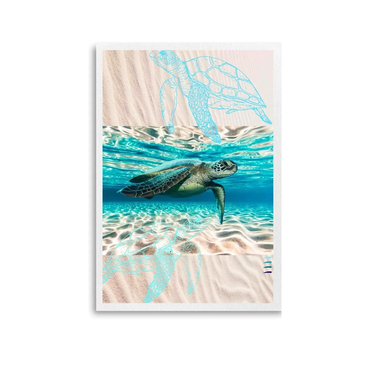 Unframed turtle print. A10006 Large_converted.webp