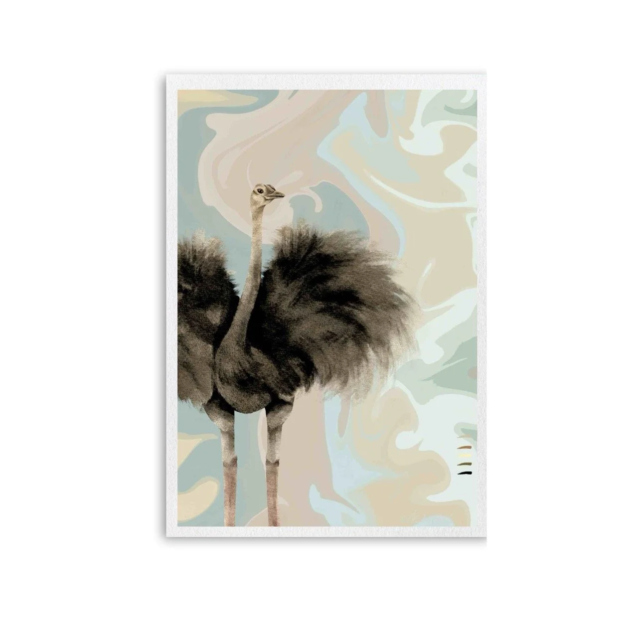 Unframed ostrich print. A10035 Large.jpeg