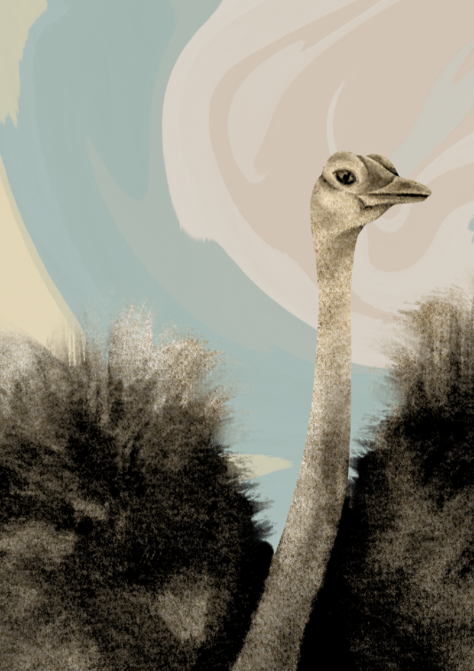 Majestic Ostrich Bird Wall Art Print - Sydney Artist, Eternal Art & Design - Eternal Art & Design
