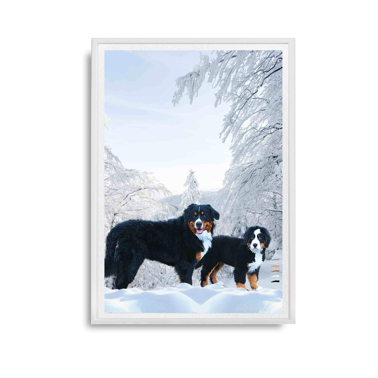 Bernese Mountain Dog Wall Art Print - Sydney Artist, Eternal Art Prints - Eternal Art & Design