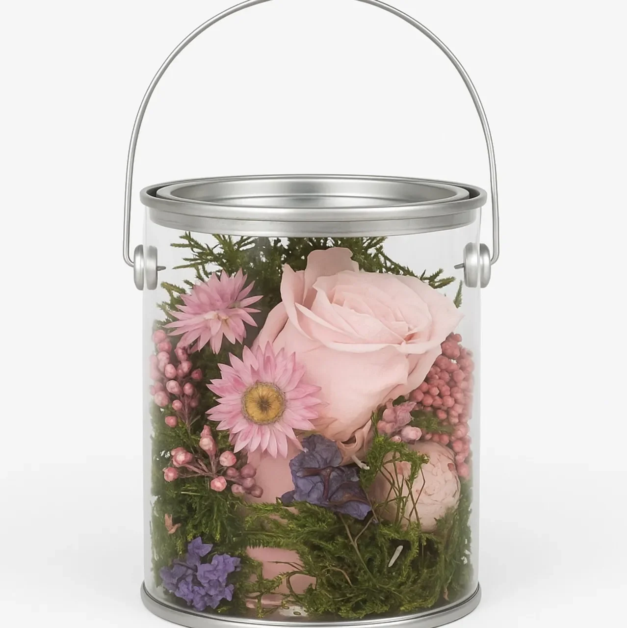 tin+pink-536688 Large_converted.webp