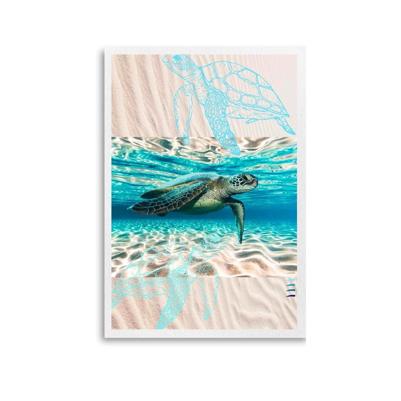 Water Turtles Modern Coastal Wall Art Print - Sydney Artist, Eternal Art Print - Eternal Art & Design