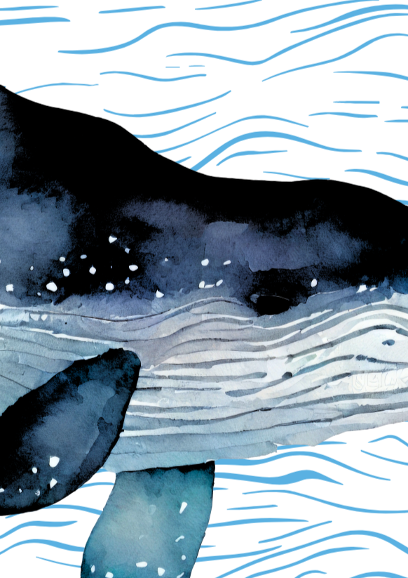 Humpback Whale Ocean Wall Art Print - Sydney Artist, Eternal Art & Design - Eternal Art & Design