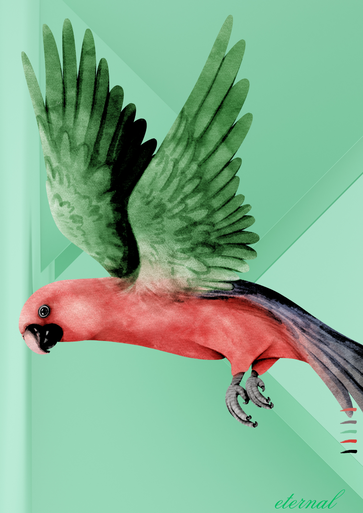 Parrot Bird Flight Wall Art Print - Sydney Artist, Eternal Art Prints