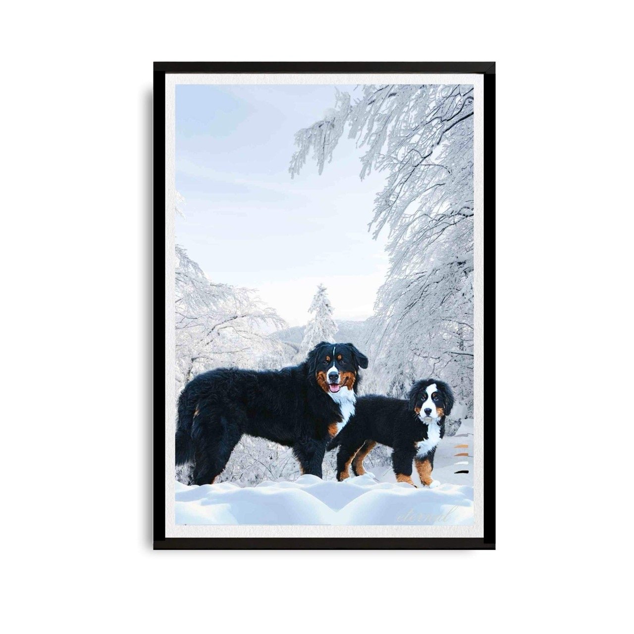 Bernese Mountain Dog Wall Art Print - Sydney Artist, Eternal Art Prints - Eternal Art & Design
