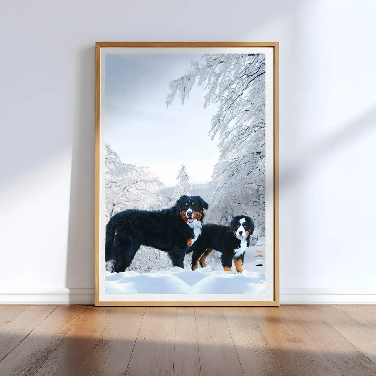 Bernese Mountain Dog Wall Art Print - Sydney Artist, Eternal Art Prints