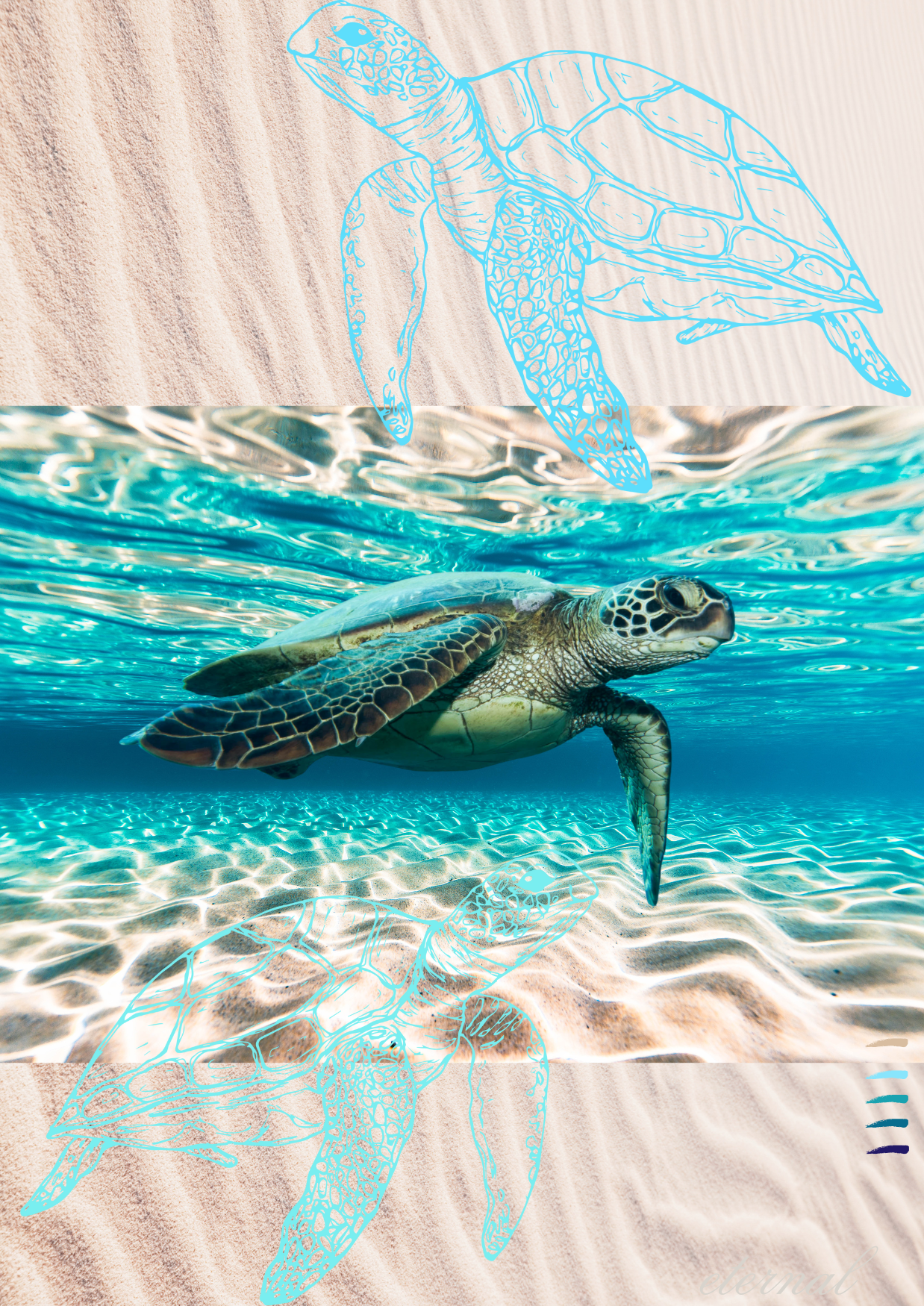 Water Turtles Modern Coastal Wall Art Print - Sydney Artist, Eternal Art Print