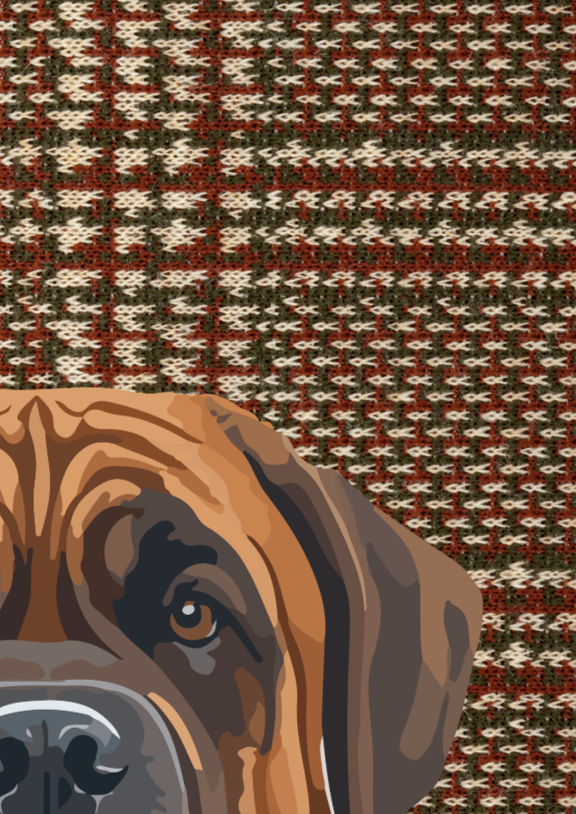 Boxer Dog Wall Art Print - Sydney Artist, Eternal Art & Design - Eternal Art & Design