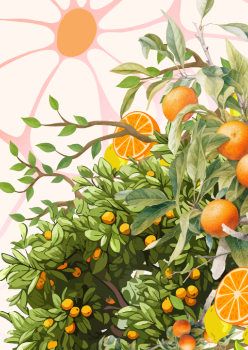 Kitchen Orange and Lemon Botanical Print - Special Edition Wall Art Eternal Art & Design - Eternal Art & Design