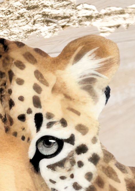 Leopard Cub Wall Art Print - Sydney Artist, Eternal Art & Design - Eternal Art & Design