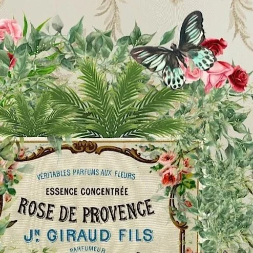 “Rose de Provence” Vintage Red Botanical Print - Special Edition Wall Art Eternal Art & Design - Eternal Art & Design