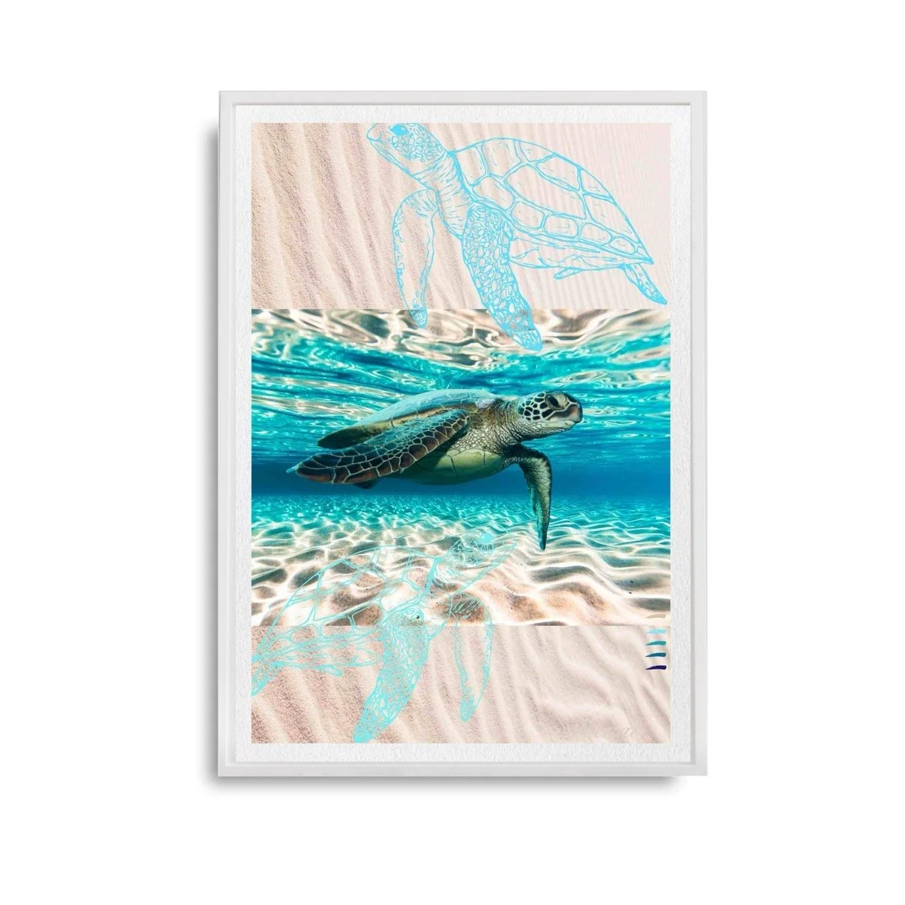 Water Turtles Modern Coastal Wall Art Print - Sydney Artist, Eternal Art Print - Eternal Art & Design
