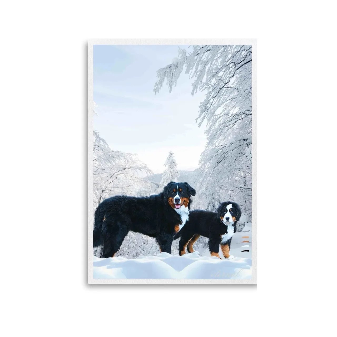 Unframed bernese dog print. A10017 Large_converted.webp