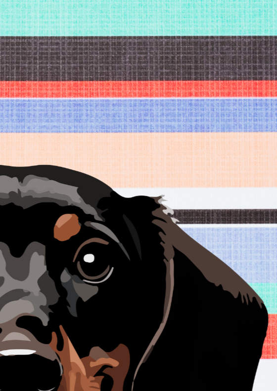 Dachshund Dog with Stripes Wall Art Print - Sydney Artist, Eternal Art & Design - Eternal Art & Design