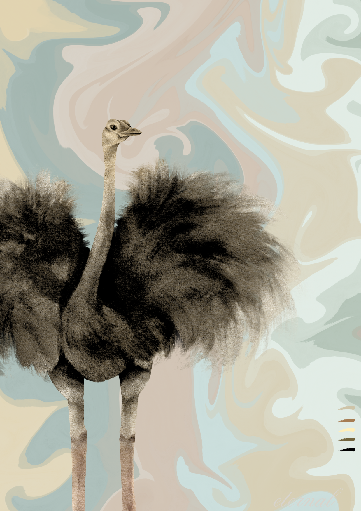 Majestic Ostrich Bird Wall Art Print - Sydney Artist, Eternal Art Prints