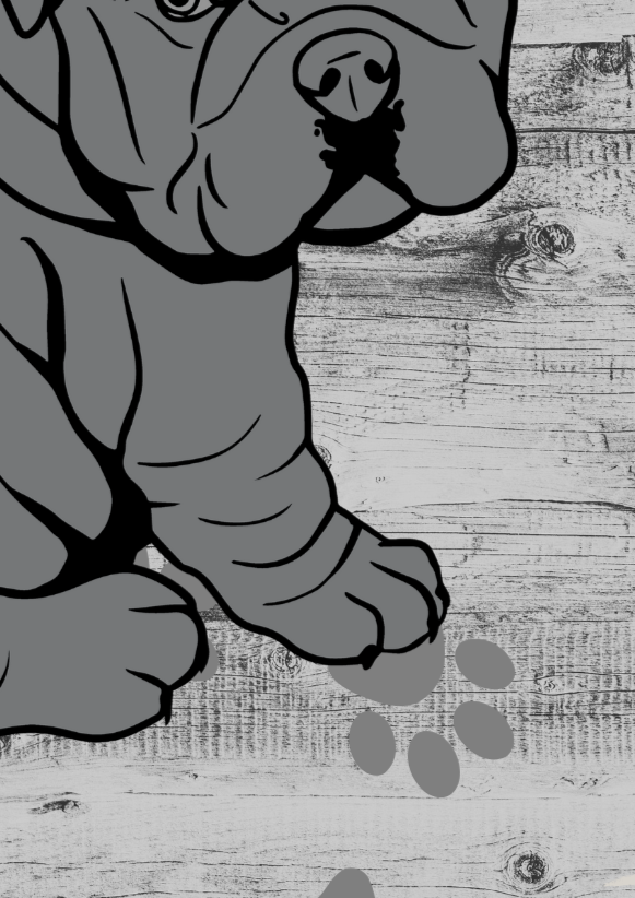 Puppy French Bulldog Wall Art Print - Sydney Artist, Eternal Art & Design - Eternal Art & Design