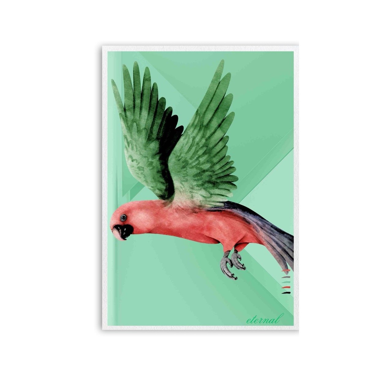 Parrot Bird Flight Wall Art Print - Sydney Artist, Eternal Art Prints - Eternal Art & Design
