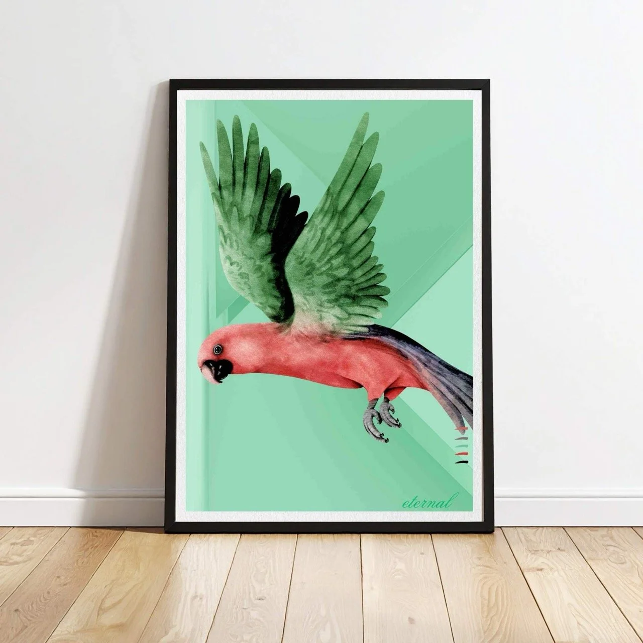 Parrot Bird Flight Wall Art Print - Sydney Artist, Eternal Art Prints - Eternal Art & Design