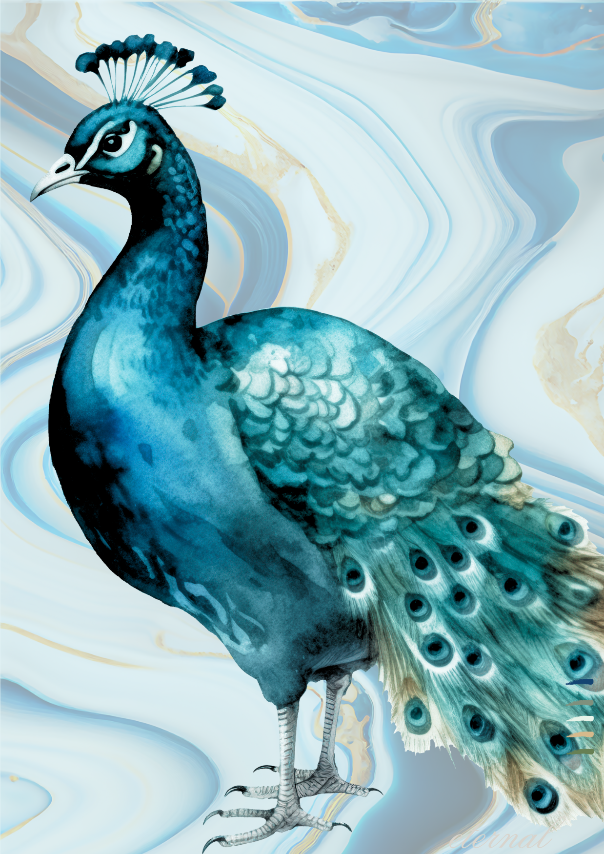 Blue Crest Peacock Birdlife Wall Art Print - Sydney Artist, Eternal Art Prints